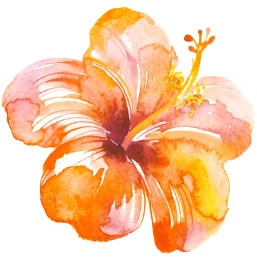 Un’illustrazione di un fiore di ibisco arancione in stile acquerello, con petali delicati e tonalità calde, che aggiunge un tocco artistico tropicale ed elegante al design.